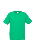 T10012 Biz Collection  Mens Ice Short Sleeve Tee Alternate Colours